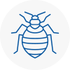 Bed Bug Extermination In Merthyr